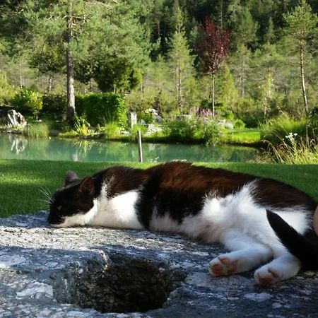 Ferienwohnung Bettina Berg im Drautal Buitenkant foto